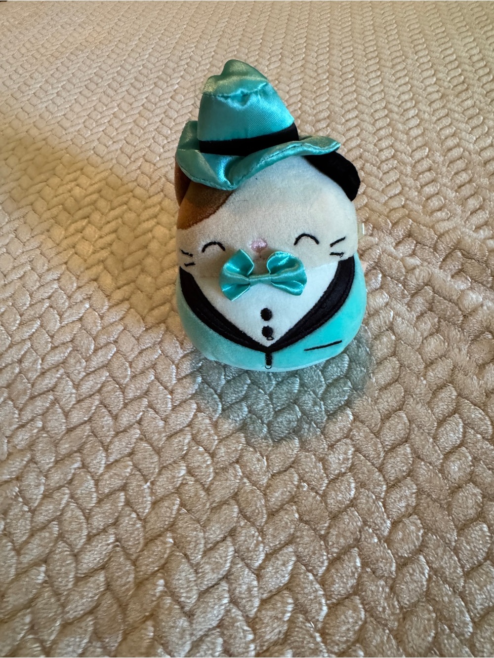 Squishmallows Cam the Cat Teal and Brown Plush Toy‎